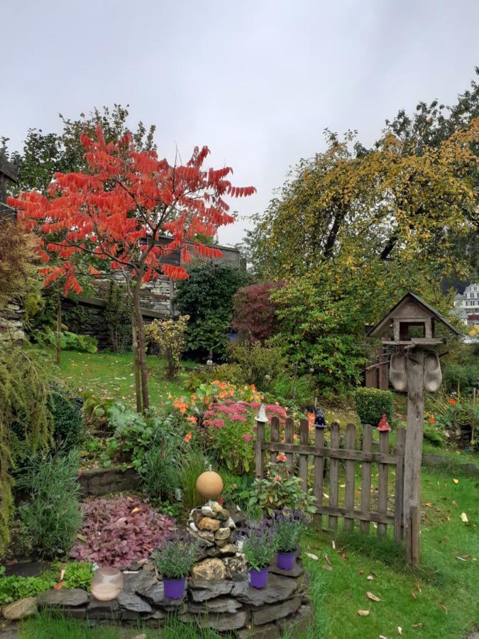 Hallerblick *