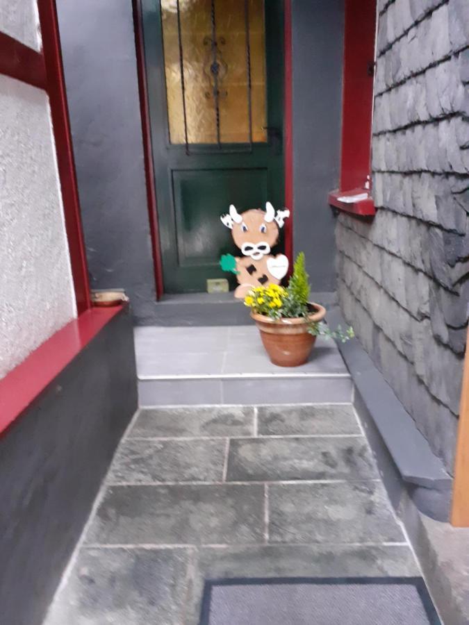 Hallerblick Apartment *