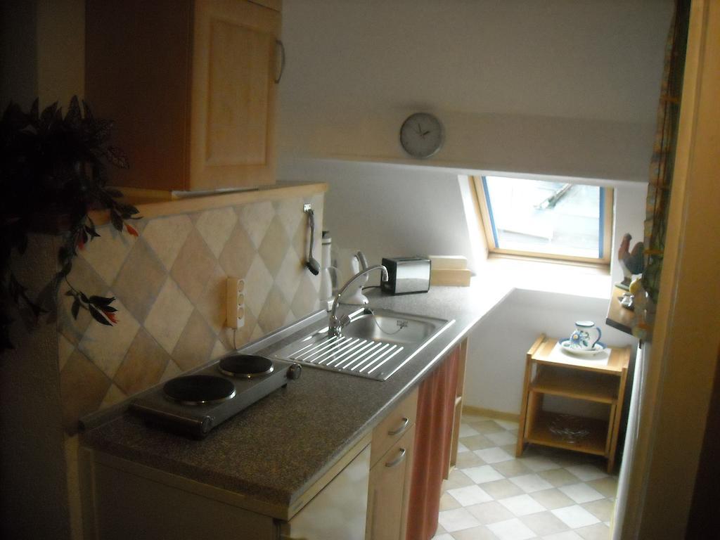 Apartment Hallerblick