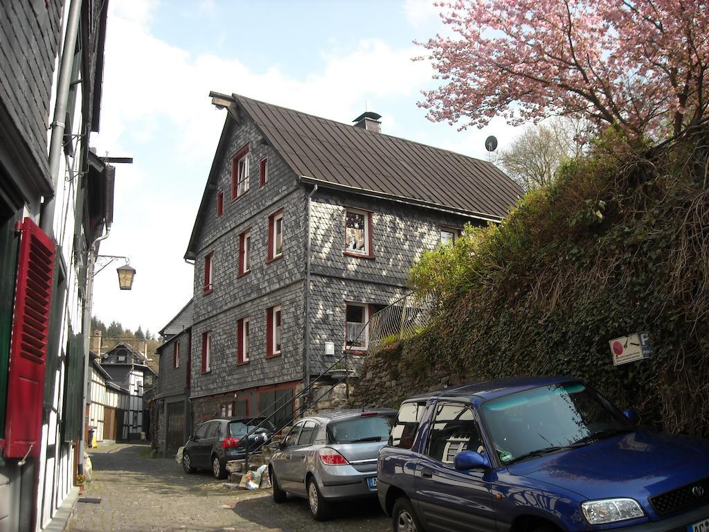 Apartment Hallerblick *