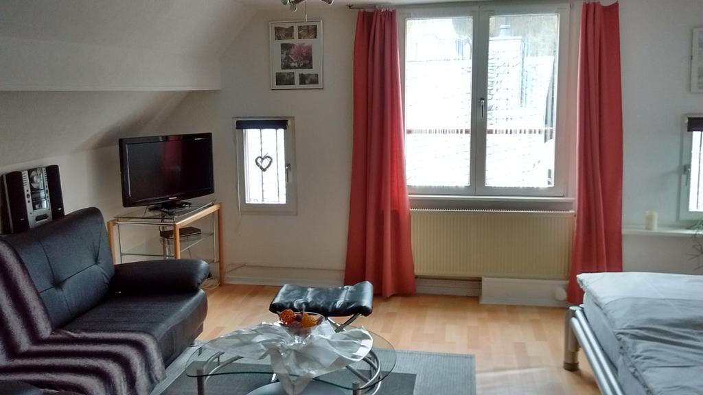 Apartment Hallerblick